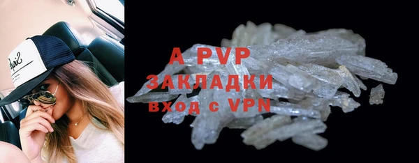 стафф Арсеньев