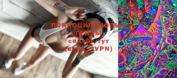 эйфоретик Аркадак