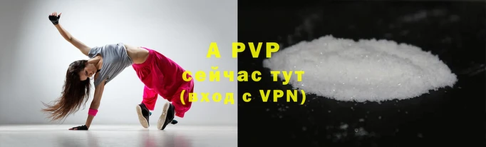 стафф Арсеньев