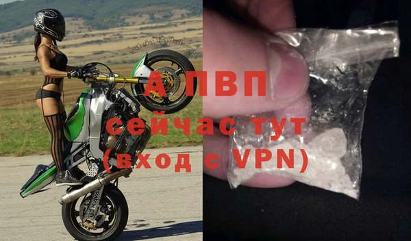 стафф Арсеньев