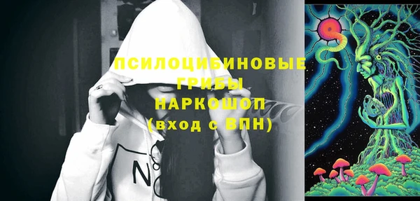 эйфоретик Аркадак