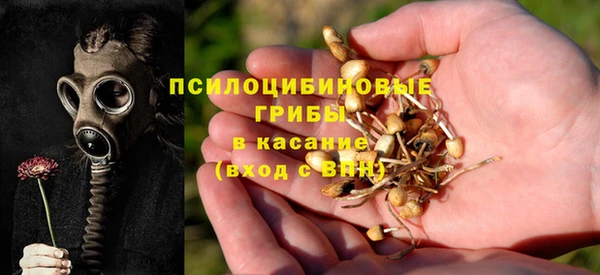 стафф Арсеньев